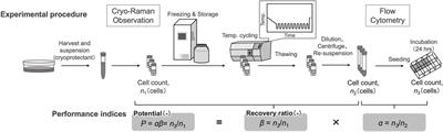 The impact of repeated temperature cycling on cryopreserved human iPSC viability stems from cytochrome redox state changes